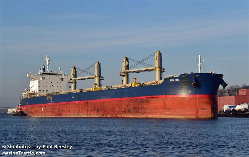 meghna vision (Bulk Carrier) - IMO 9758741, MMSI 405000373, Call Sign S2BZ9 under the flag of Bangladesh