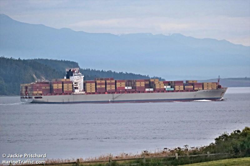 msc tampa (Container Ship) - IMO 9317925, MMSI 636021760, Call Sign 5LFN8 under the flag of Liberia