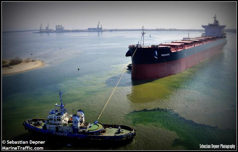 pegasus (Bulk Carrier) - IMO 9611242, MMSI 209782000, Call Sign 5BNQ3 under the flag of Cyprus