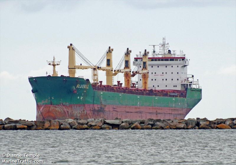 bluebill (Bulk Carrier) - IMO 9263306, MMSI 210684000, Call Sign C4FK2 under the flag of Cyprus