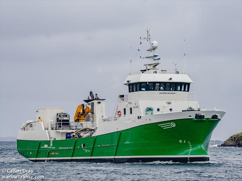 ocean aquila (Fish Carrier) - IMO 9245926, MMSI 232026422, Call Sign MGVJ3 under the flag of United Kingdom (UK)