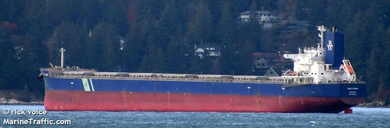 world diana (Bulk Carrier) - IMO 9875214, MMSI 232027403, Call Sign MHGI2 under the flag of United Kingdom (UK)