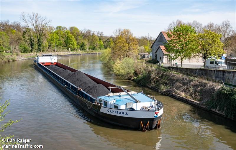 capibara (Cargo ship) - IMO , MMSI 244700652, Call Sign PG5396 under the flag of Netherlands