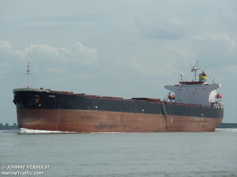 ligari (Bulk Carrier) - IMO 9279513, MMSI 256317000, Call Sign 9HQY8 under the flag of Malta