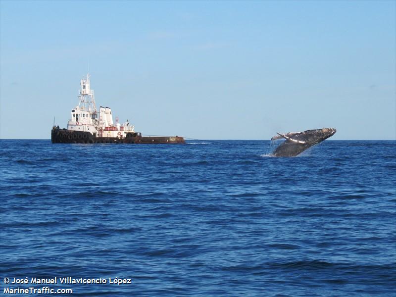 condor ii (Pusher Tug) - IMO 8803496, MMSI 345020008, Call Sign XCEG3 under the flag of Mexico