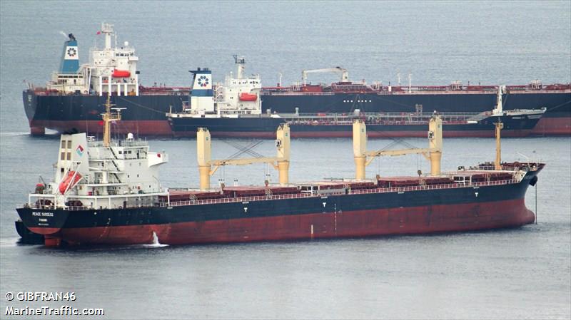 hong merit (Bulk Carrier) - IMO 9120059, MMSI 351139000, Call Sign 3EBS8 under the flag of Panama