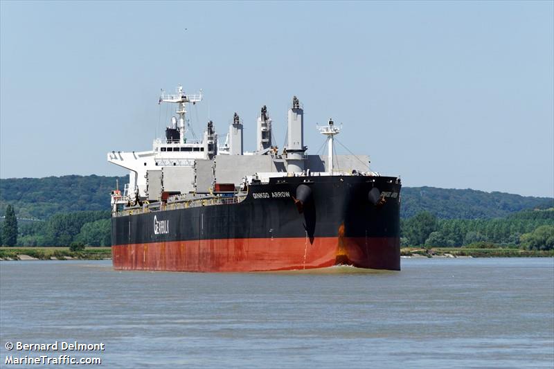 ginkgo arrow (General Cargo Ship) - IMO 9720079, MMSI 357422000, Call Sign 3ECV6 under the flag of Panama