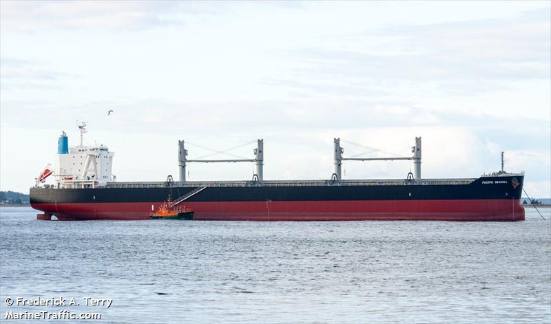 pacific seagull (Bulk Carrier) - IMO 9782364, MMSI 370485000, Call Sign 3FVM5 under the flag of Panama