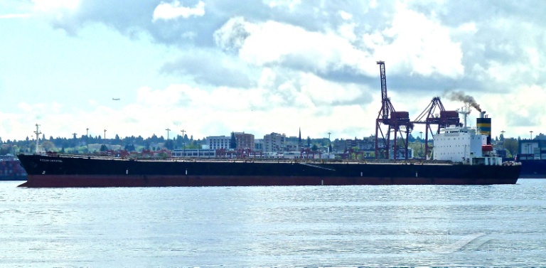 zhun xing 1 (Bulk Carrier) - IMO 9180786, MMSI 414271000, Call Sign BLBL2 under the flag of China