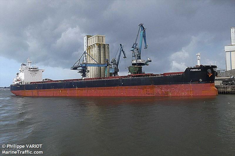 fiorela (Bulk Carrier) - IMO 9597769, MMSI 636017716, Call Sign D5MK2 under the flag of Liberia