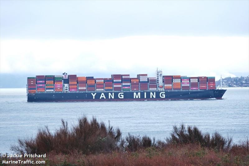 ym truth (Container Ship) - IMO 9860910, MMSI 636019983, Call Sign D5XC4 under the flag of Liberia