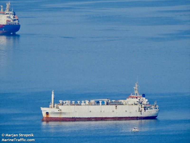 dragon (Livestock Carrier) - IMO 7303231, MMSI 671909000, Call Sign 5VEY7 under the flag of Togolese Rep