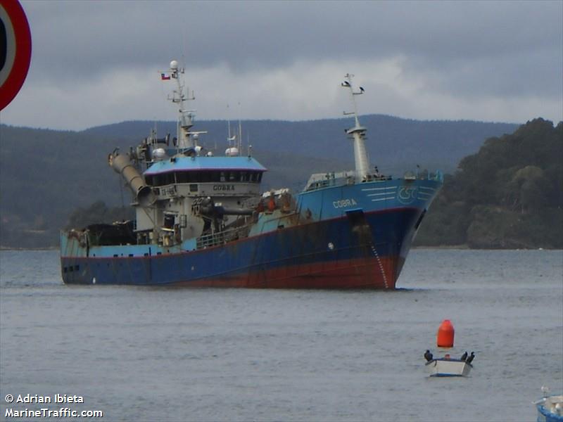 cobra (Fishing Vessel) - IMO 9160695, MMSI 725003900, Call Sign CB6027 under the flag of Chile