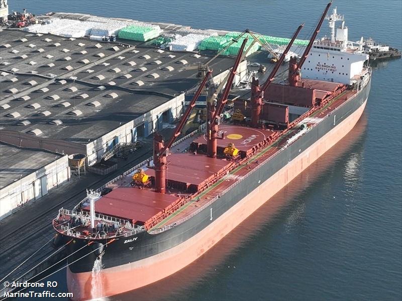 zaliv (Bulk Carrier) - IMO 9935806, MMSI 352001585, Call Sign HOA7380 under the flag of Panama