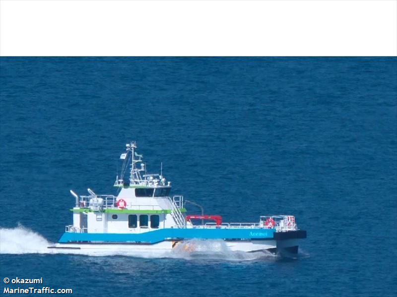 anemoi (Other type) - IMO , MMSI 431019507 under the flag of Japan