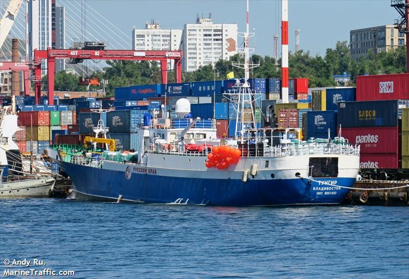 tungir (Fishing Vessel) - IMO 8651453, MMSI 273610030, Call Sign UDNU under the flag of Russia