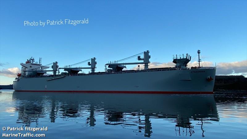 dynagreen (Wood Chips Carrier) - IMO 9919527, MMSI 431780000, Call Sign 7KMA under the flag of Japan