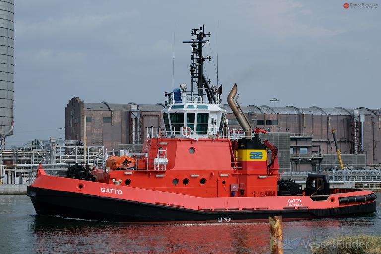 gatto (Tug) - IMO 9764324, MMSI 247342800, Call Sign IJIK2 under the flag of Italy
