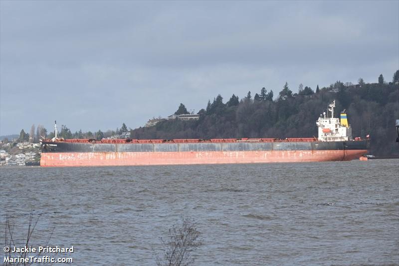 g.b.corrado (Bulk Carrier) - IMO 9314624, MMSI 311002500, Call Sign C6WY2 under the flag of Bahamas