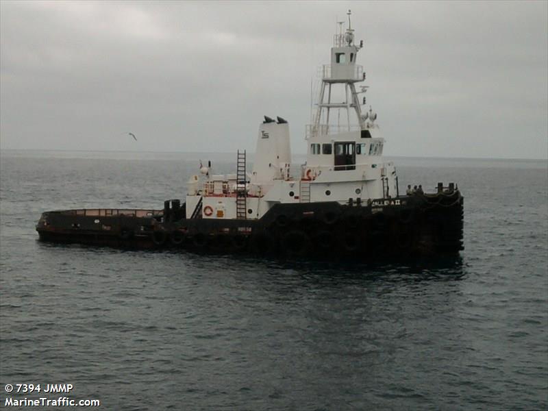 ballena ii (Tug) - IMO 8966729, MMSI 345020012, Call Sign XCCR under the flag of Mexico