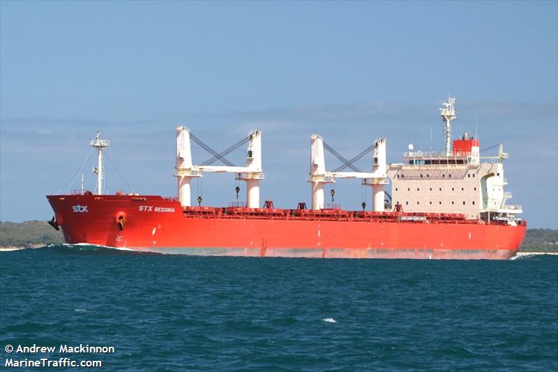 pan begonia (Bulk Carrier) - IMO 9441879, MMSI 370900000, Call Sign 3FSM3 under the flag of Panama