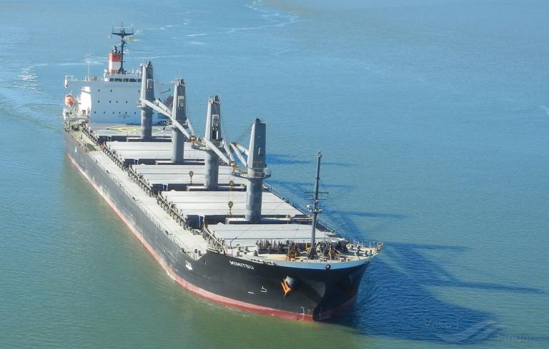 mimitsu (General Cargo Ship) - IMO 9527958, MMSI 373471000, Call Sign 3ETU4 under the flag of Panama