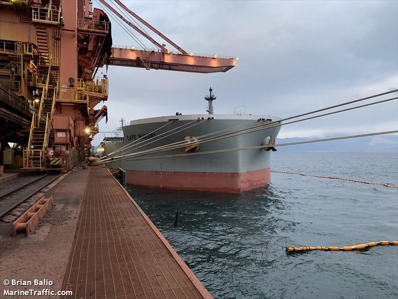 cape midori (Bulk Carrier) - IMO 9531868, MMSI 373615000, Call Sign 3FAN3 under the flag of Panama