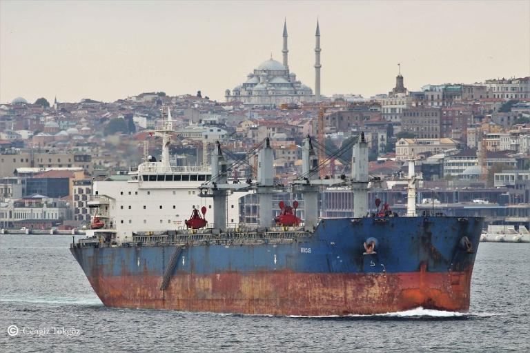 minoas (Bulk Carrier) - IMO 9519315, MMSI 538009011, Call Sign V7A4195 under the flag of Marshall Islands