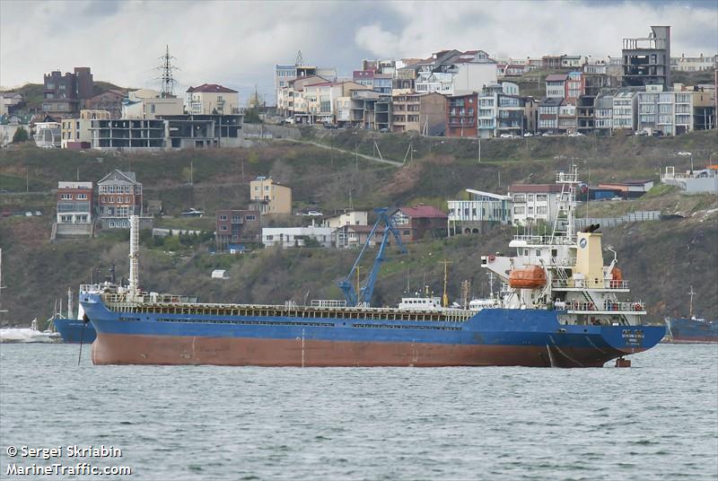 xin sheng sheng 3 (Cargo ship) - IMO 8591586, MMSI 352001696, Call Sign 3E2716 under the flag of Panama