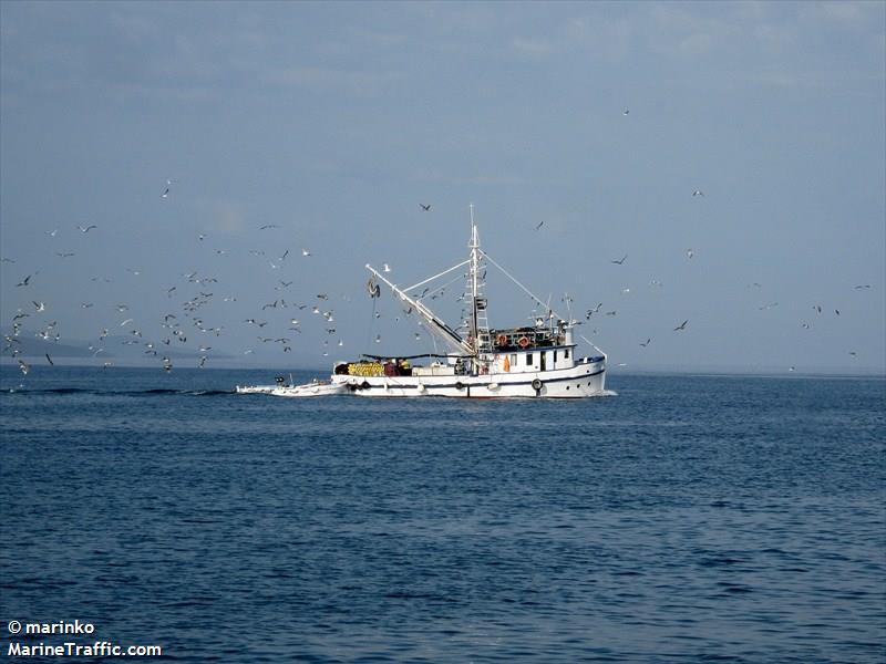 cezar (Tug) - IMO 6825660, MMSI 238641410, Call Sign 9A7338 under the flag of Croatia