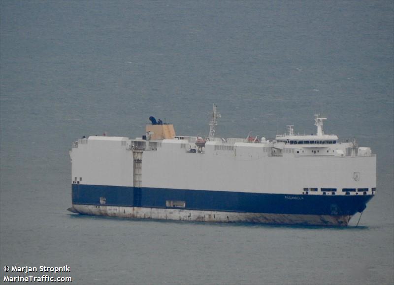 paganella (Vehicles Carrier) - IMO 9427926, MMSI 236111886, Call Sign ZDNC7 under the flag of Gibraltar