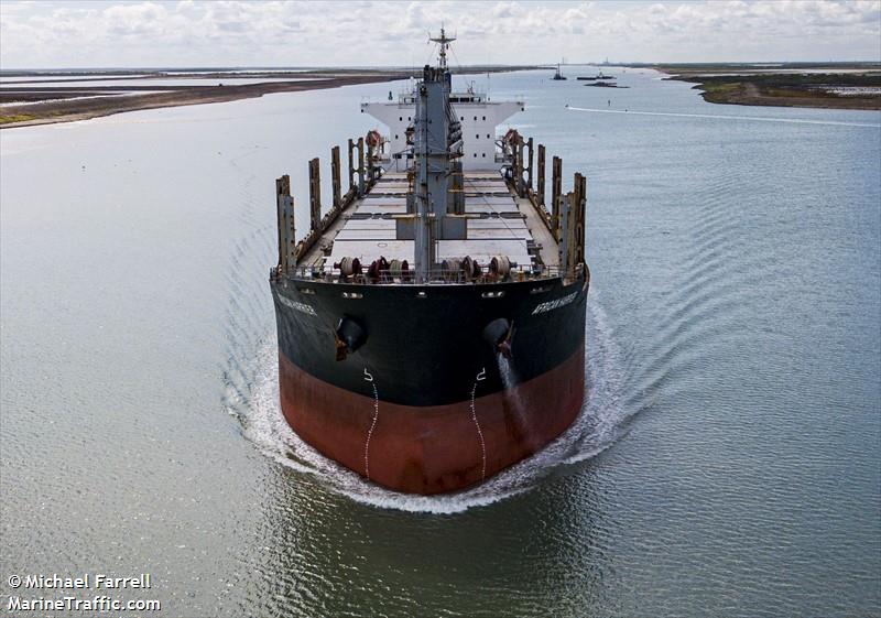 african harrier (Bulk Carrier) - IMO 9700794, MMSI 311000259, Call Sign C6BG8 under the flag of Bahamas