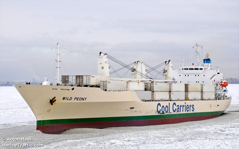 wild peony (Refrigerated Cargo Ship) - IMO 9191474, MMSI 311000804, Call Sign C6DW7 under the flag of Bahamas