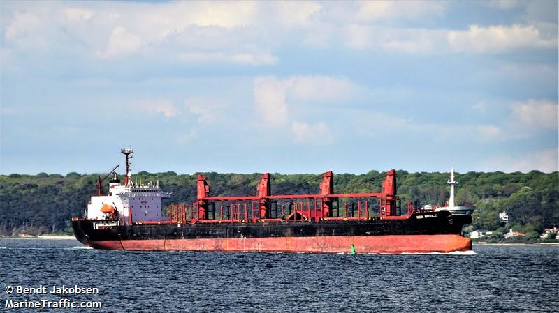 sea bridle (Bulk Carrier) - IMO 9047001, MMSI 312086000, Call Sign V3VW6 under the flag of Belize