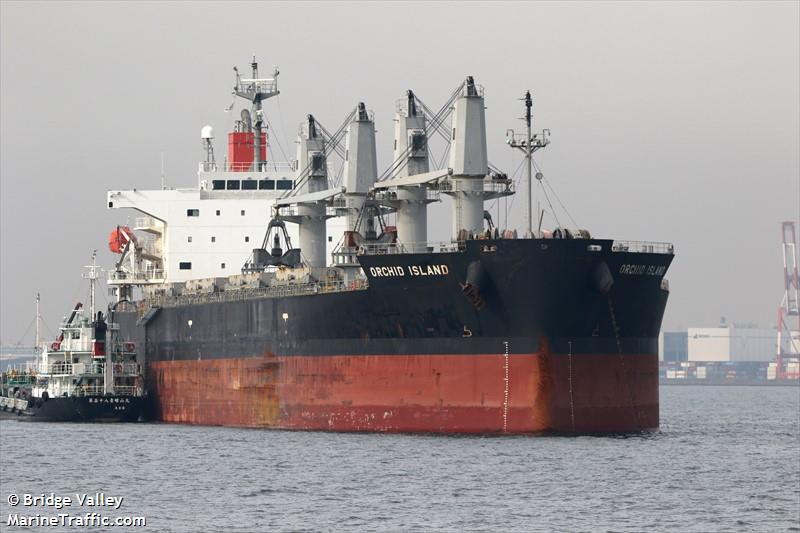 orchid island (Bulk Carrier) - IMO 9401867, MMSI 351360000, Call Sign 3FFX9 under the flag of Panama