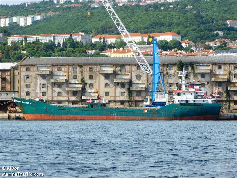 fadime k (General Cargo Ship) - IMO 9161156, MMSI 355770000, Call Sign HP9799 under the flag of Panama