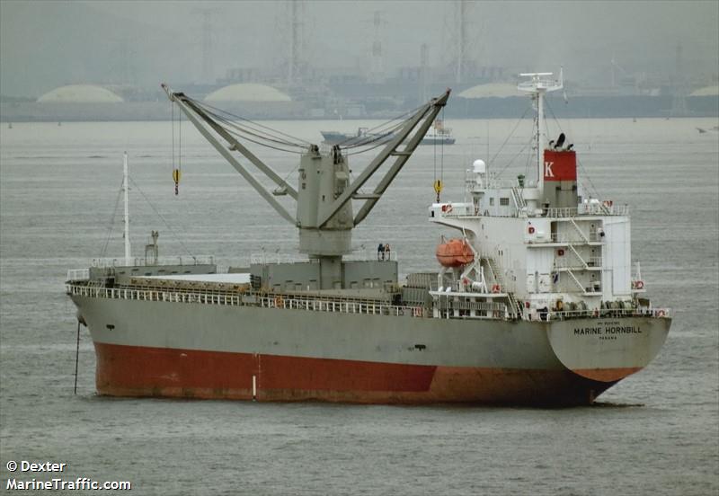 marine hornbill (General Cargo Ship) - IMO 9594365, MMSI 357869000, Call Sign 3FEF3 under the flag of Panama