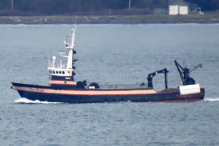 seawolf (Fishing Vessel) - IMO 7926590, MMSI 367088480, Call Sign WCW9770 under the flag of United States (USA)