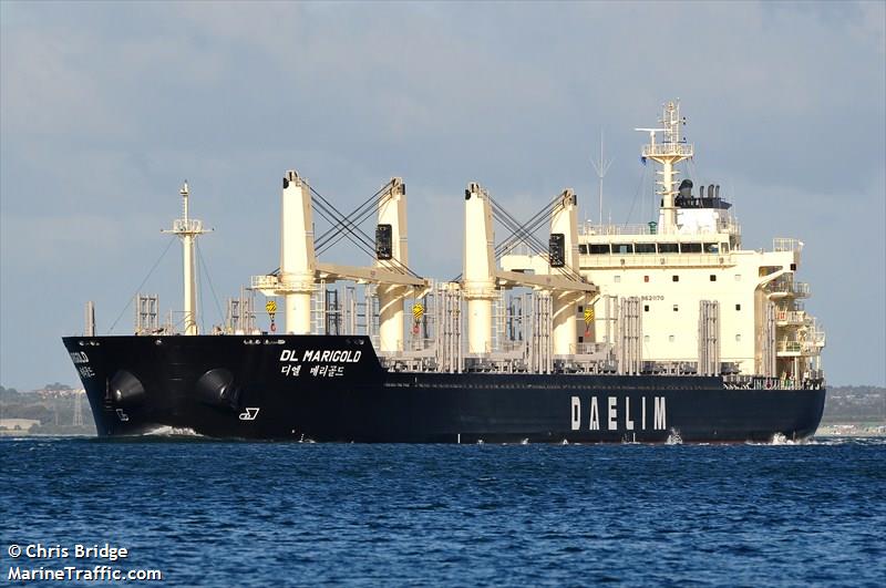 dl marigold (Bulk Carrier) - IMO 9621170, MMSI 373108000, Call Sign 3EWS2 under the flag of Panama