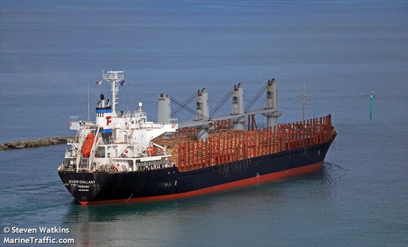 ever gallant (Bulk Carrier) - IMO 9624328, MMSI 373843000, Call Sign 3EUN3 under the flag of Panama