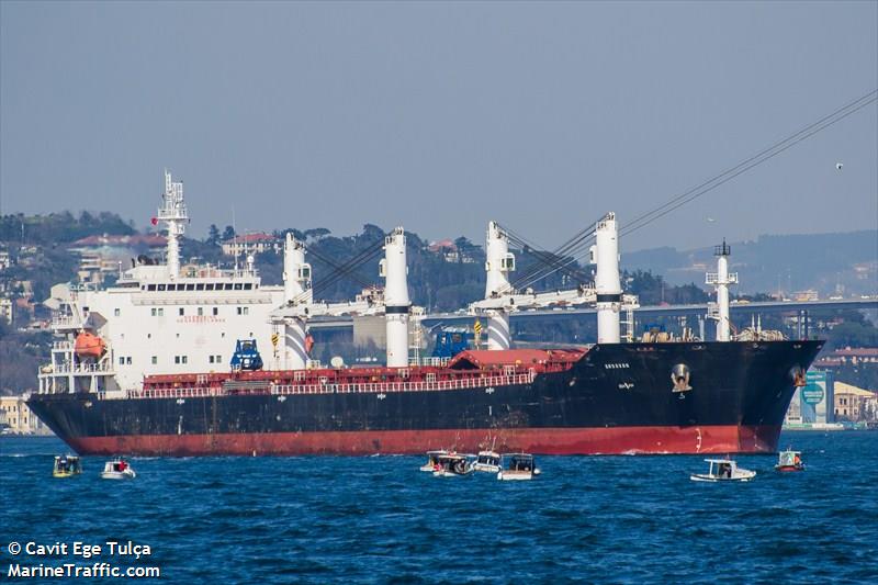 ardavan (Bulk Carrier) - IMO 9465863, MMSI 422035300, Call Sign EPBV4 under the flag of Iran