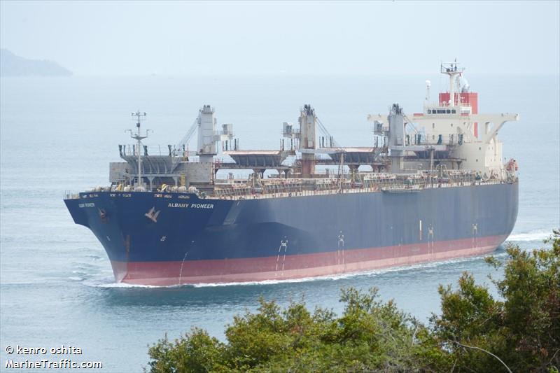albany pioneer (Wood Chips Carrier) - IMO 9310549, MMSI 431493000, Call Sign 7J under the flag of Japan