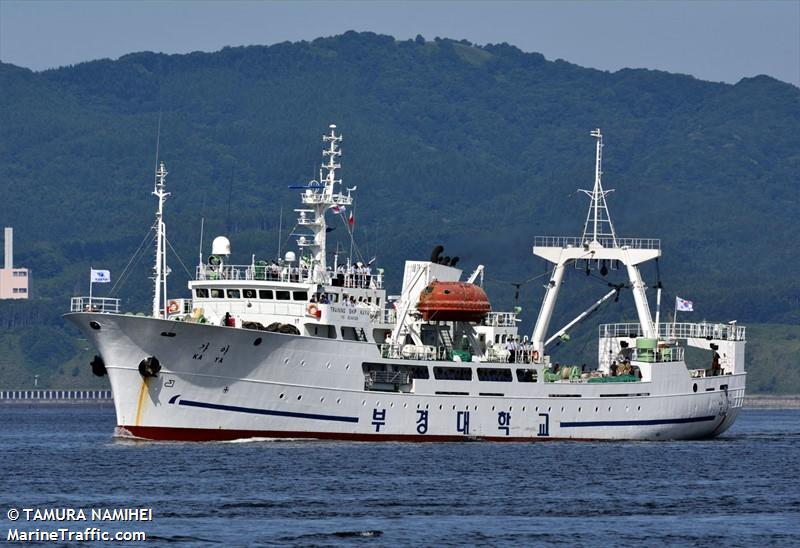 kaya (Fishing Vessel) - IMO 9044126, MMSI 440308000, Call Sign 6KJJ under the flag of Korea