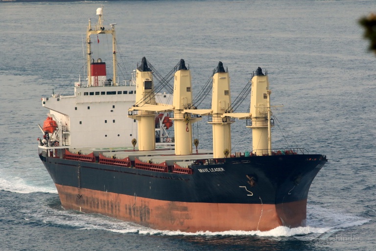 brave leader (Bulk Carrier) - IMO 9033505, MMSI 450559000, Call Sign ODWD under the flag of Lebanon