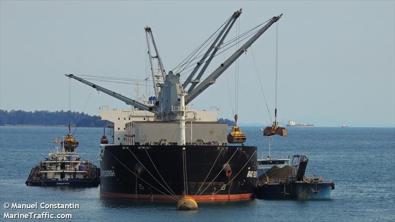 bao flourish (Bulk Carrier) - IMO 9609835, MMSI 477167600, Call Sign VRJQ6 under the flag of Hong Kong