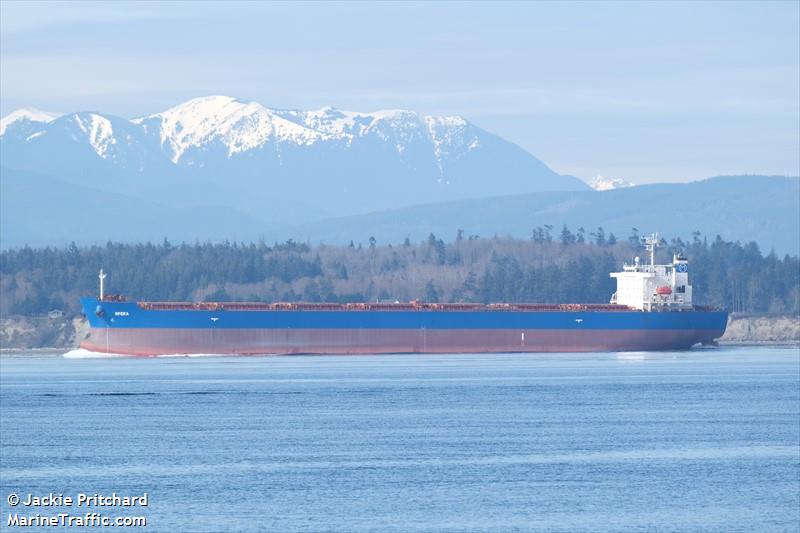 sfera (Bulk Carrier) - IMO 9304576, MMSI 538005194, Call Sign V7BT4 under the flag of Marshall Islands