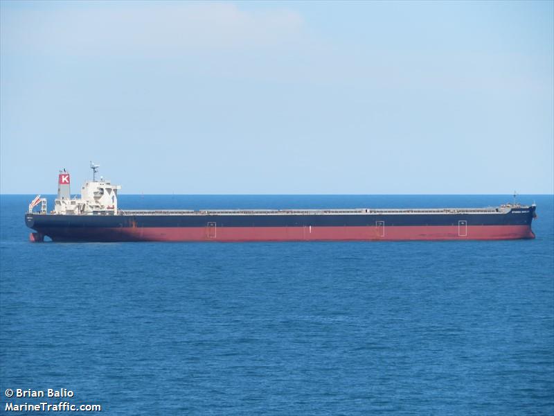 hyundai dangjin (Bulk Carrier) - IMO 9582245, MMSI 636015641, Call Sign D5BZ8 under the flag of Liberia