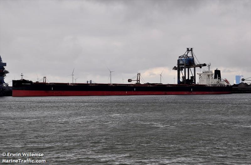 true compass (Bulk Carrier) - IMO 9723174, MMSI 636016792, Call Sign D5HV2 under the flag of Liberia