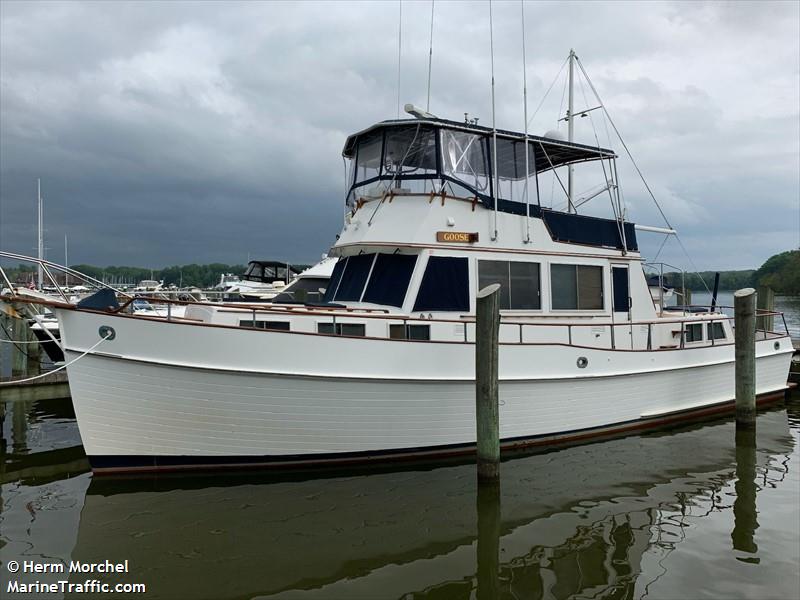 goose (Pleasure craft) - IMO , MMSI 338148435 under the flag of USA