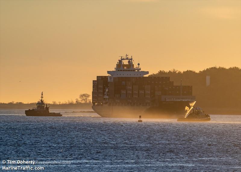 marla tiger (Container Ship) - IMO 9932933, MMSI 538010124, Call Sign V7A5645 under the flag of Marshall Islands